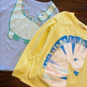 𝙰𝚗𝚒𝚖𝚊𝚕 𝚝𝚘𝚙𝚜 𝚋𝚞𝚗𝚍𝚕𝚎 🦕🦓